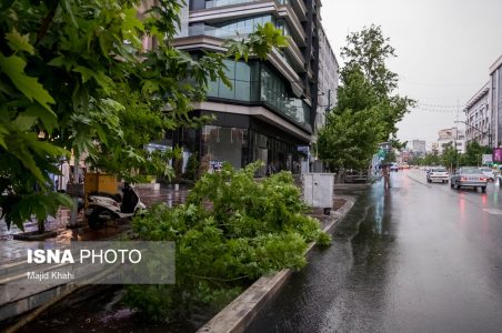 پیش‌بینی رگبار و رعد و برق در برخی استان‌ها / شدت بارش‌ها در استان‌های ساحلی