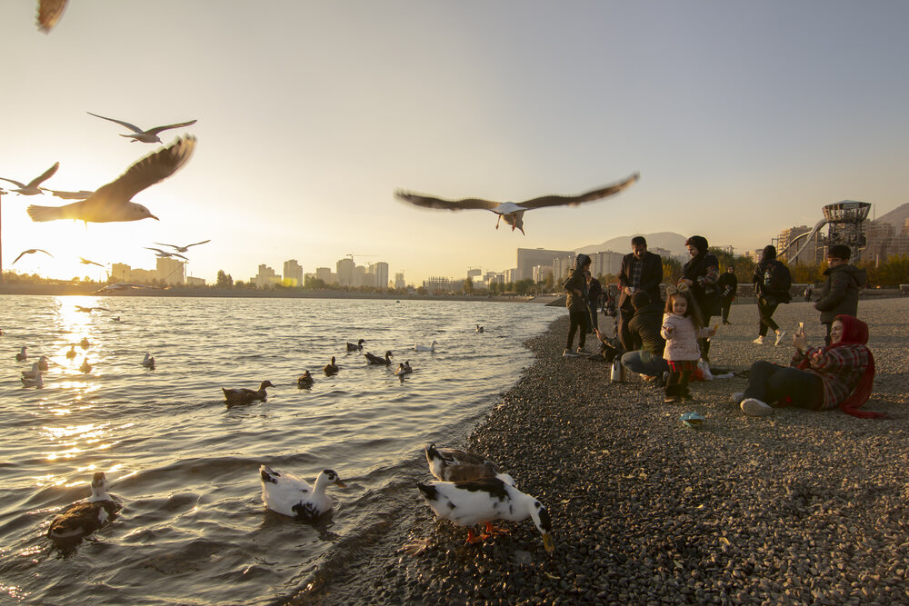 بهره‌برداری از اولین تصفیه‌خانه پساب در مرکز خرید و فروش پرندگان زینتی خلیج فارس